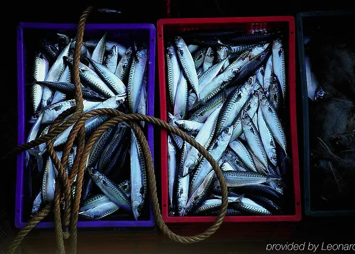 Ibis Styles וויסטרהאם